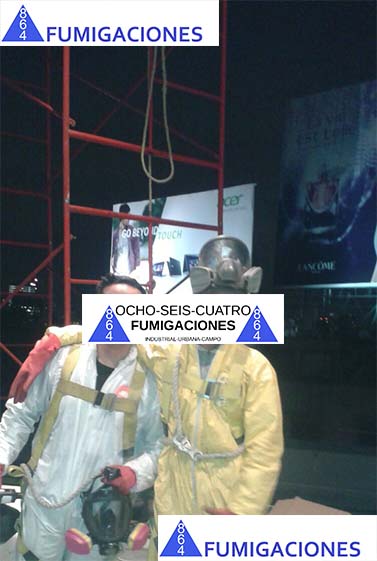 Técnicos profesionales de 864 Fumigaciones con equipo completo listos para control de cucarachas en CDMX