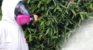 Técnico fumigador certificado con equipo de protección personal aplicando fumigación segura en hogar CDMX