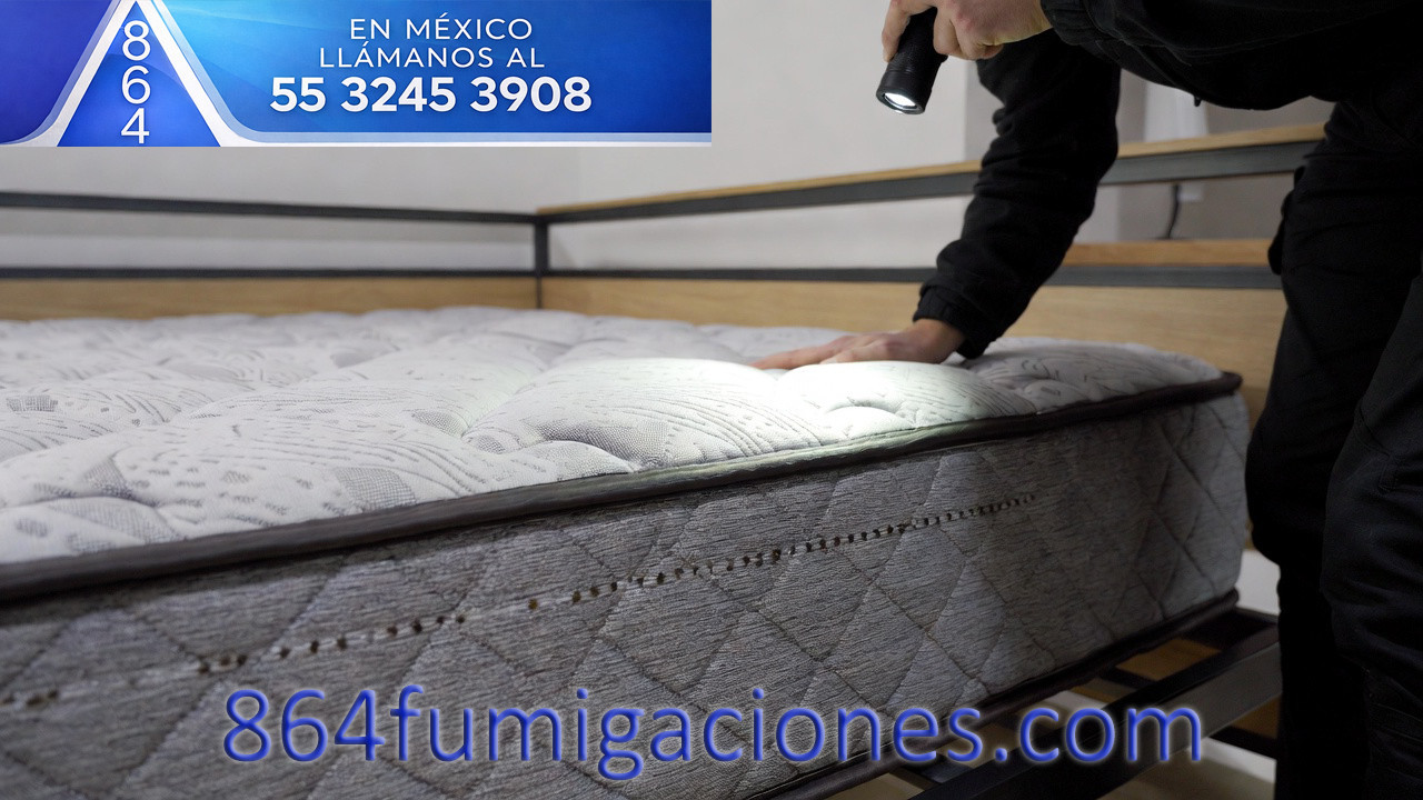 persona revisando colchón para detectar chinches de cama